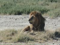 Tage Rundreise Namibia – Die Erlebnistour mit  Kalahari – Fish River-Canyon – Lüderitz – Namib – Swakopmund – Erongo Gebirge – Etosha Nationalpark – Windhoek (1234) &ndash; &copy; Benjamin Rodriguez Manzanares (Eberhardt TRAVEL)