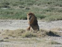 Tage Rundreise Namibia – Die Erlebnistour mit  Kalahari – Fish River-Canyon – Lüderitz – Namib – Swakopmund – Erongo Gebirge – Etosha Nationalpark – Windhoek (1235) &ndash; &copy; Benjamin Rodriguez Manzanares (Eberhardt TRAVEL)