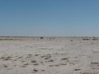 Tage Rundreise Namibia – Die Erlebnistour mit  Kalahari – Fish River-Canyon – Lüderitz – Namib – Swakopmund – Erongo Gebirge – Etosha Nationalpark – Windhoek (1242) &ndash; &copy; Benjamin Rodriguez Manzanares (Eberhardt TRAVEL)