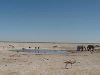 Tage Rundreise Namibia – Die Erlebnistour mit  Kalahari – Fish River-Canyon – Lüderitz – Namib – Swakopmund – Erongo Gebirge – Etosha Nationalpark – Windhoek (1293) &ndash; &copy; Benjamin Rodriguez Manzanares (Eberhardt TRAVEL)