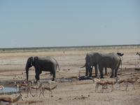 Tage Rundreise Namibia – Die Erlebnistour mit  Kalahari – Fish River-Canyon – Lüderitz – Namib – Swakopmund – Erongo Gebirge – Etosha Nationalpark – Windhoek (1299) &ndash; &copy; Benjamin Rodriguez Manzanares (Eberhardt TRAVEL)