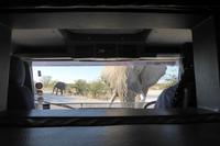 Tage Rundreise Namibia – Die Erlebnistour mit  Kalahari – Fish River-Canyon – Lüderitz – Namib – Swakopmund – Erongo Gebirge – Etosha Nationalpark – Windhoek (1311) &ndash; &copy; Benjamin Rodriguez Manzanares (Eberhardt TRAVEL)