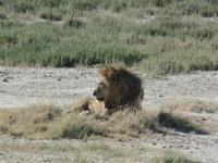 Tage Rundreise Namibia – Die Erlebnistour mit  Kalahari – Fish River-Canyon – Lüderitz – Namib – Swakopmund – Erongo Gebirge – Etosha Nationalpark – Windhoek (1360) &ndash; &copy; Benjamin Rodriguez Manzanares (Eberhardt TRAVEL)
