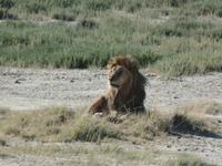 Tage Rundreise Namibia – Die Erlebnistour mit  Kalahari – Fish River-Canyon – Lüderitz – Namib – Swakopmund – Erongo Gebirge – Etosha Nationalpark – Windhoek (1362) &ndash; &copy; Benjamin Rodriguez Manzanares (Eberhardt TRAVEL)