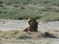 Tage Rundreise Namibia – Die Erlebnistour mit  Kalahari – Fish River-Canyon – Lüderitz – Namib – Swakopmund – Erongo Gebirge – Etosha Nationalpark – Windhoek (1364) &ndash; &copy; Benjamin Rodriguez Manzanares (Eberhardt TRAVEL)