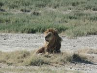 Tage Rundreise Namibia – Die Erlebnistour mit  Kalahari – Fish River-Canyon – Lüderitz – Namib – Swakopmund – Erongo Gebirge – Etosha Nationalpark – Windhoek (1365) &ndash; &copy; Benjamin Rodriguez Manzanares (Eberhardt TRAVEL)