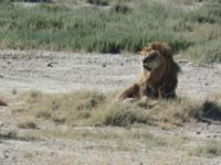 Tage Rundreise Namibia – Die Erlebnistour mit  Kalahari – Fish River-Canyon – Lüderitz – Namib – Swakopmund – Erongo Gebirge – Etosha Nationalpark – Windhoek (1366) &ndash; &copy; Benjamin Rodriguez Manzanares (Eberhardt TRAVEL)