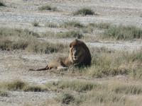 Tage Rundreise Namibia – Die Erlebnistour mit  Kalahari – Fish River-Canyon – Lüderitz – Namib – Swakopmund – Erongo Gebirge – Etosha Nationalpark – Windhoek (1367) &ndash; &copy; Benjamin Rodriguez Manzanares (Eberhardt TRAVEL)