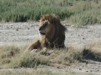 Tage Rundreise Namibia – Die Erlebnistour mit  Kalahari – Fish River-Canyon – Lüderitz – Namib – Swakopmund – Erongo Gebirge – Etosha Nationalpark – Windhoek (1368) &ndash; &copy; Benjamin Rodriguez Manzanares (Eberhardt TRAVEL)