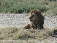 Tage Rundreise Namibia – Die Erlebnistour mit  Kalahari – Fish River-Canyon – Lüderitz – Namib – Swakopmund – Erongo Gebirge – Etosha Nationalpark – Windhoek (1369) &ndash; &copy; Benjamin Rodriguez Manzanares (Eberhardt TRAVEL)
