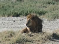 Tage Rundreise Namibia – Die Erlebnistour mit  Kalahari – Fish River-Canyon – Lüderitz – Namib – Swakopmund – Erongo Gebirge – Etosha Nationalpark – Windhoek (1370) &ndash; &copy; Benjamin Rodriguez Manzanares (Eberhardt TRAVEL)