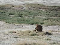 Tage Rundreise Namibia – Die Erlebnistour mit  Kalahari – Fish River-Canyon – Lüderitz – Namib – Swakopmund – Erongo Gebirge – Etosha Nationalpark – Windhoek (1374) &ndash; &copy; Benjamin Rodriguez Manzanares (Eberhardt TRAVEL)