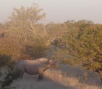 Tage Rundreise Namibia – Die Erlebnistour mit  Kalahari – Fish River-Canyon – Lüderitz – Namib – Swakopmund – Erongo Gebirge – Etosha Nationalpark – Windhoek (1390) &ndash; &copy; Benjamin Rodriguez Manzanares (Eberhardt TRAVEL)