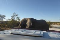 Tage Rundreise Namibia – Die Erlebnistour mit  Kalahari – Fish River-Canyon – Lüderitz – Namib – Swakopmund – Erongo Gebirge – Etosha Nationalpark – Windhoek (1392) &ndash; &copy; Benjamin Rodriguez Manzanares (Eberhardt TRAVEL)
