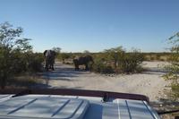 Tage Rundreise Namibia – Die Erlebnistour mit  Kalahari – Fish River-Canyon – Lüderitz – Namib – Swakopmund – Erongo Gebirge – Etosha Nationalpark – Windhoek (1395) &ndash; &copy; Benjamin Rodriguez Manzanares (Eberhardt TRAVEL)