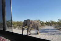 Tage Rundreise Namibia – Die Erlebnistour mit  Kalahari – Fish River-Canyon – Lüderitz – Namib – Swakopmund – Erongo Gebirge – Etosha Nationalpark – Windhoek (1400) &ndash; &copy; Benjamin Rodriguez Manzanares (Eberhardt TRAVEL)