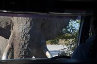 Tage Rundreise Namibia – Die Erlebnistour mit  Kalahari – Fish River-Canyon – Lüderitz – Namib – Swakopmund – Erongo Gebirge – Etosha Nationalpark – Windhoek (1404) &ndash; &copy; Benjamin Rodriguez Manzanares (Eberhardt TRAVEL)