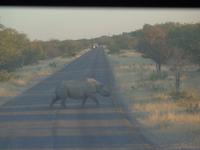 Tage Rundreise Namibia – Die Erlebnistour mit  Kalahari – Fish River-Canyon – Lüderitz – Namib – Swakopmund – Erongo Gebirge – Etosha Nationalpark – Windhoek (1406) &ndash; &copy; Benjamin Rodriguez Manzanares (Eberhardt TRAVEL)