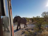 Tage Rundreise Namibia – Die Erlebnistour mit  Kalahari – Fish River-Canyon – Lüderitz – Namib – Swakopmund – Erongo Gebirge – Etosha Nationalpark – Windhoek (1483) &ndash; &copy; Benjamin Rodriguez Manzanares (Eberhardt TRAVEL)