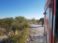 Tage Rundreise Namibia – Die Erlebnistour mit  Kalahari – Fish River-Canyon – Lüderitz – Namib – Swakopmund – Erongo Gebirge – Etosha Nationalpark – Windhoek (1484) &ndash; &copy; Benjamin Rodriguez Manzanares (Eberhardt TRAVEL)