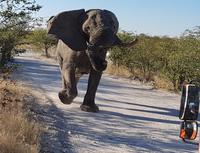 Tage Rundreise Namibia – Die Erlebnistour mit  Kalahari – Fish River-Canyon – Lüderitz – Namib – Swakopmund – Erongo Gebirge – Etosha Nationalpark – Windhoek (1505) &ndash; &copy; Benjamin Rodriguez Manzanares (Eberhardt TRAVEL)