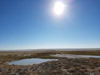 Tage Rundreise Namibia – Die Erlebnistour mit  Kalahari – Fish River-Canyon – Lüderitz – Namib – Swakopmund – Erongo Gebirge – Etosha Nationalpark – Windhoek (1507) &ndash; &copy; Benjamin Rodriguez Manzanares (Eberhardt TRAVEL)