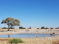 Tage Rundreise Namibia – Die Erlebnistour mit  Kalahari – Fish River-Canyon – Lüderitz – Namib – Swakopmund – Erongo Gebirge – Etosha Nationalpark – Windhoek (1514) &ndash; &copy; Benjamin Rodriguez Manzanares (Eberhardt TRAVEL)