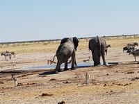 Tage Rundreise Namibia – Die Erlebnistour mit  Kalahari – Fish River-Canyon – Lüderitz – Namib – Swakopmund – Erongo Gebirge – Etosha Nationalpark – Windhoek (1543) &ndash; &copy; Benjamin Rodriguez Manzanares (Eberhardt TRAVEL)