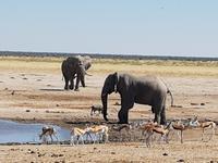 Tage Rundreise Namibia – Die Erlebnistour mit  Kalahari – Fish River-Canyon – Lüderitz – Namib – Swakopmund – Erongo Gebirge – Etosha Nationalpark – Windhoek (1546) &ndash; &copy; Benjamin Rodriguez Manzanares (Eberhardt TRAVEL)