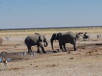 Tage Rundreise Namibia – Die Erlebnistour mit  Kalahari – Fish River-Canyon – Lüderitz – Namib – Swakopmund – Erongo Gebirge – Etosha Nationalpark – Windhoek (1581) &ndash; &copy; Benjamin Rodriguez Manzanares (Eberhardt TRAVEL)
