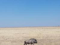 Tage Rundreise Namibia – Die Erlebnistour mit  Kalahari – Fish River-Canyon – Lüderitz – Namib – Swakopmund – Erongo Gebirge – Etosha Nationalpark – Windhoek (1636) &ndash; &copy; Benjamin Rodriguez Manzanares (Eberhardt TRAVEL)
