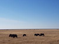 Tage Rundreise Namibia – Die Erlebnistour mit  Kalahari – Fish River-Canyon – Lüderitz – Namib – Swakopmund – Erongo Gebirge – Etosha Nationalpark – Windhoek (1663) &ndash; &copy; Benjamin Rodriguez Manzanares (Eberhardt TRAVEL)
