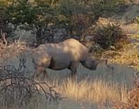 Tage Rundreise Namibia – Die Erlebnistour mit  Kalahari – Fish River-Canyon – Lüderitz – Namib – Swakopmund – Erongo Gebirge – Etosha Nationalpark – Windhoek (1691) &ndash; &copy; Benjamin Rodriguez Manzanares (Eberhardt TRAVEL)