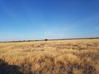 Tage Rundreise Namibia – Die Erlebnistour mit  Kalahari – Fish River-Canyon – Lüderitz – Namib – Swakopmund – Erongo Gebirge – Etosha Nationalpark – Windhoek (1707) &ndash; &copy; Benjamin Rodriguez Manzanares (Eberhardt TRAVEL)