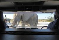 Tage Rundreise Namibia – Die Erlebnistour mit  Kalahari – Fish River-Canyon – Lüderitz – Namib – Swakopmund – Erongo Gebirge – Etosha Nationalpark – Windhoek (1835) &ndash; &copy; Benjamin Rodriguez Manzanares (Eberhardt TRAVEL)