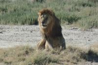 Tage Rundreise Namibia – Die Erlebnistour mit  Kalahari – Fish River-Canyon – Lüderitz – Namib – Swakopmund – Erongo Gebirge – Etosha Nationalpark – Windhoek (1854) &ndash; &copy; Benjamin Rodriguez Manzanares (Eberhardt TRAVEL)