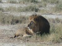 Tage Rundreise Namibia – Die Erlebnistour mit  Kalahari – Fish River-Canyon – Lüderitz – Namib – Swakopmund – Erongo Gebirge – Etosha Nationalpark – Windhoek (1865) &ndash; &copy; Benjamin Rodriguez Manzanares (Eberhardt TRAVEL)