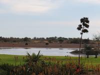 Lapa Lange Wasserloch &ndash; &copy; Kathrin Mickan (Eberhardt TRAVEL)