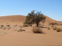 Soussosvlai &ndash; &copy; Kathrin Mickan (Eberhardt TRAVEL)