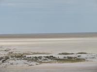 Etoschapfanne &ndash; &copy; Kathrin Mickan (Eberhardt TRAVEL)