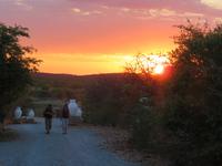 Toshari Sonnenuntergang &ndash; &copy; Kathrin Mickan (Eberhardt TRAVEL)
