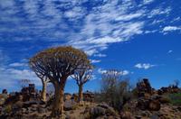 Farm Garas &ndash; &copy; Annett Müller (Eberhardt TRAVEL)