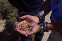 Bio-Wüsten-Müsli &ndash; &copy; Annett Müller (Eberhardt TRAVEL)