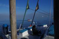 Walvis Bay - Lagunenfahrt - blinder Passagier &ndash; &copy; Annett Müller (Eberhardt TRAVEL)