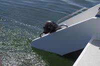 Walvis Bay - Lagunenfahrt &ndash; &copy; Annett Müller (Eberhardt TRAVEL)