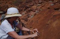 Felsgravuren bei Twyfelfontein &ndash; &copy; Annett Müller (Eberhardt TRAVEL)