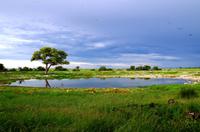 Okaukuejo Camp - Wasserloch &ndash; &copy; Annett Müller (Eberhardt TRAVEL)