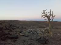 Abendstimmung auf dem Hausberg des Canyon Roadhouse &ndash; &copy; Maren Walter (Eberhardt TRAVEL)