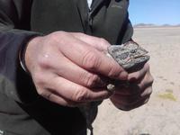 Henner schnappt sich ein Namaqua-Chamäleon und wir können uns diesen spannenden Wüstenbewohner ganz aus der Nähe anschauen &ndash; &copy; Maren Walter (Eberhardt TRAVEL)