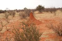 Sundowner Tour &ndash; &copy; Susanne Schirmann (Eberhardt TRAVEL)